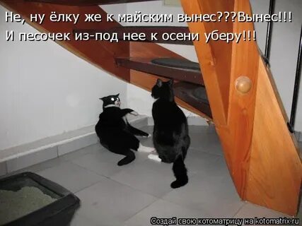 Я не понял ты куда так расфуфырилась