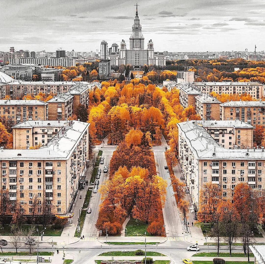 Золотая осень в Москве МГУ. Москва МГУ осенью. Москва территория МГУ осень. Осень в Москве. Городское 6 октября