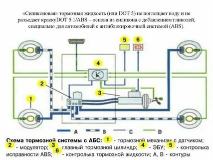Абс лютный
