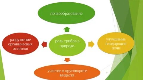 Разрушение органических веществ
