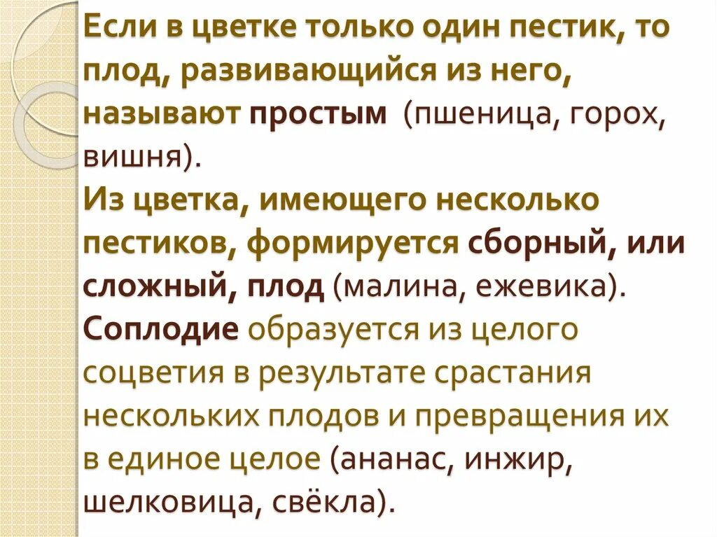 Плод быстро развивается. Если в цветке был 1 пестик, то образуется. плод, развившийся из цветка с одним пестиком, называется. если цветок имел несколько пестиков то образуется плод ответы.