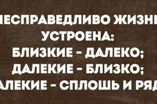 Как устроена жизнь