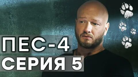 Черный пес 4