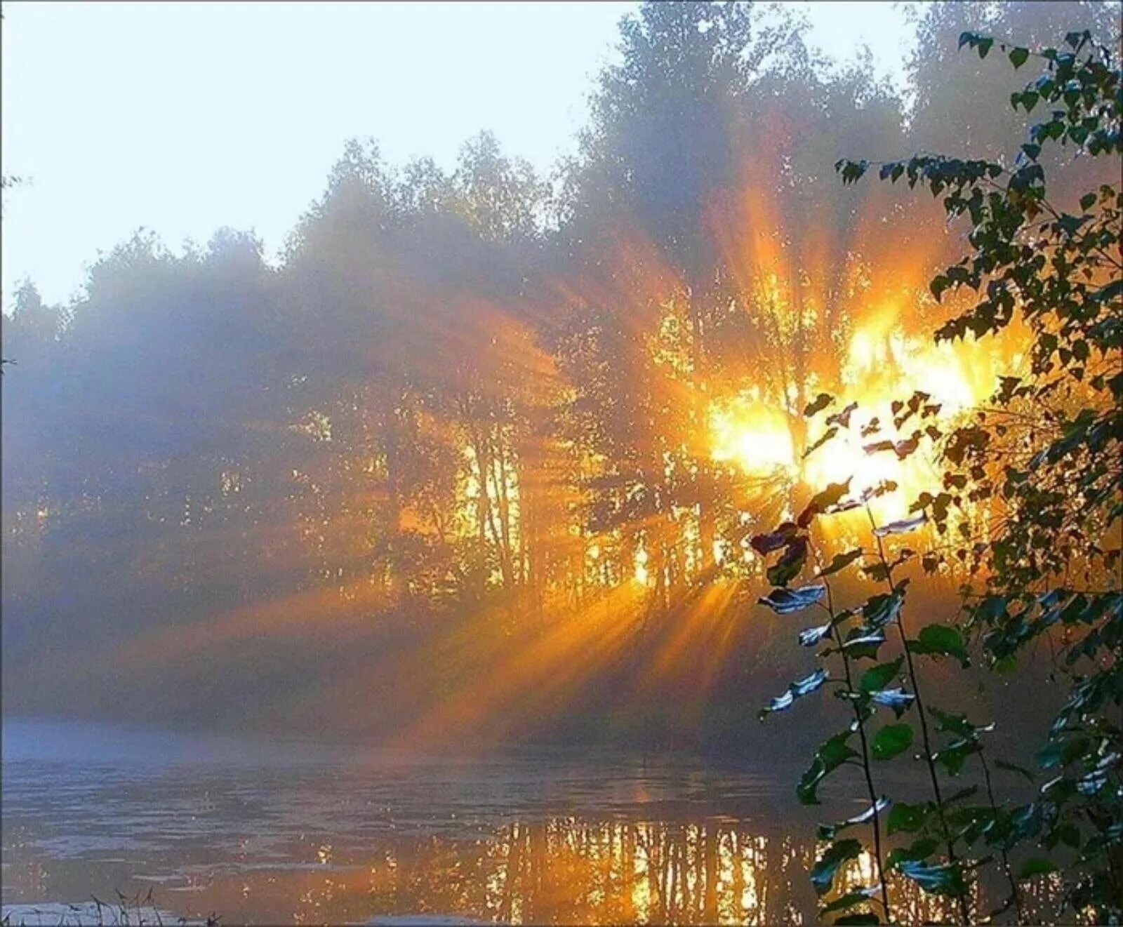 Будет ясный новый день. Рассвет солнца. Утреннее солнце. Осень солнце. Первые лучи утреннего солнца.