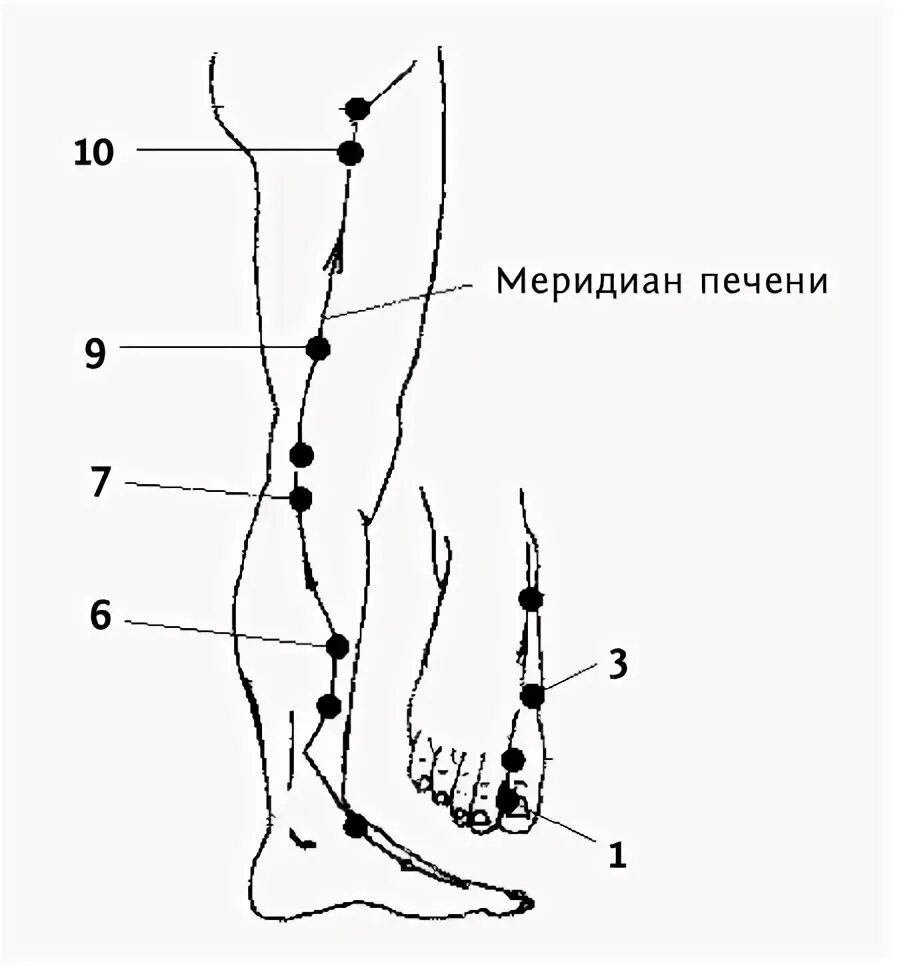 Меридиан печени в китайской медицине. Акупунктура Меридиан печени. Активные точки меридиана печени. Топография акупунктурных точек меридиана печени..
