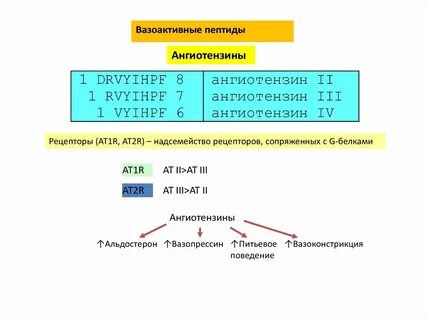 Вазоактивный интестинальный пептид
