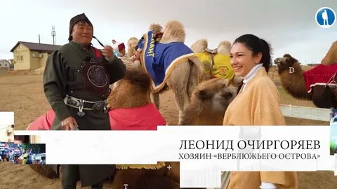 Верблюжий остров элиста