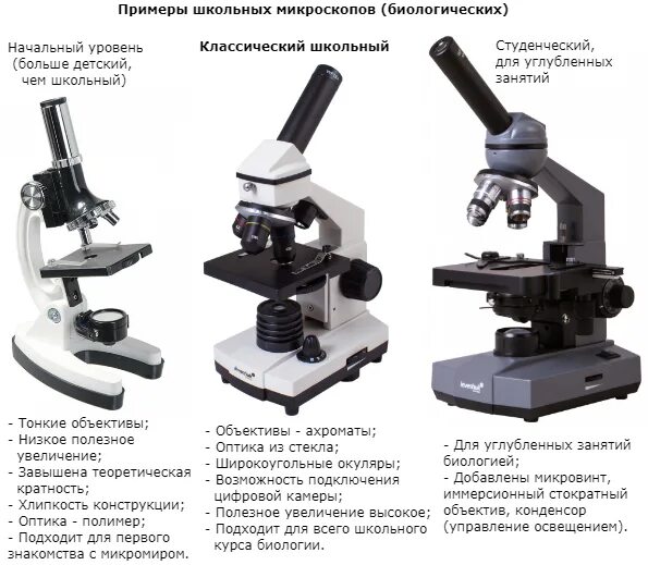 Usb микроскоп. Как увеличить увеличение микроскопа?. Увеличение микроскопа 5 класс. Сколько увеличивает микроскоп. Электронный микроскоп биология.