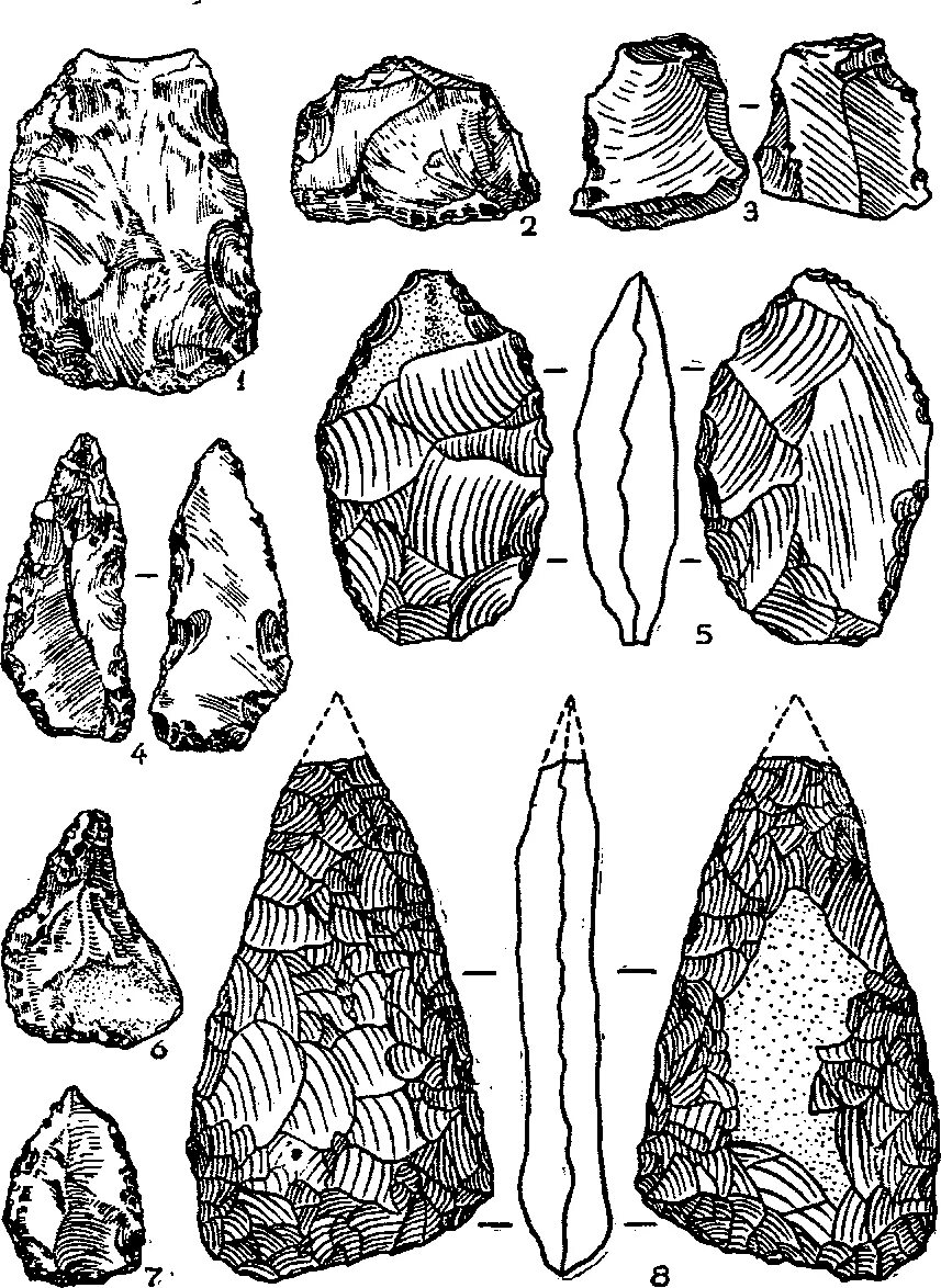 палеолит дәуірі. орудия неолита. палеолит дәуірі. тас дәуірі. тас дәуірі презентация.