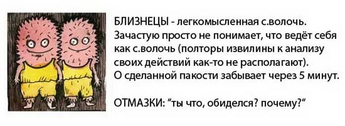 Советы мужчине близнецу. Прикольные фразы про близнецов. Смешной гороскоп про близнецов. Близнецы смешной гороскоп. Смешные знаки зодиака Близнецы.