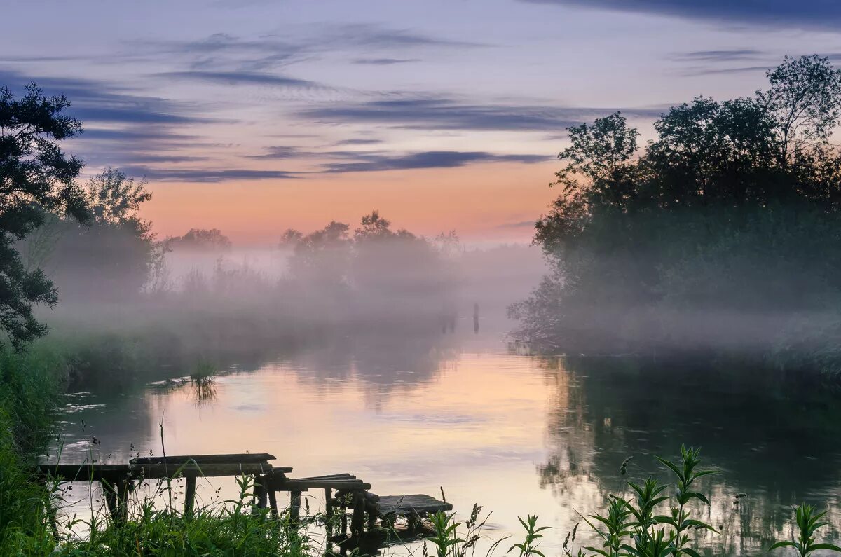 Туман над рекой. Туман на реке. Туман над прудом. Туманное утро на озере. Летнее утро на озере
