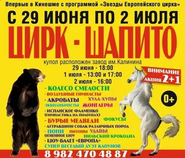 Цирк кинешма