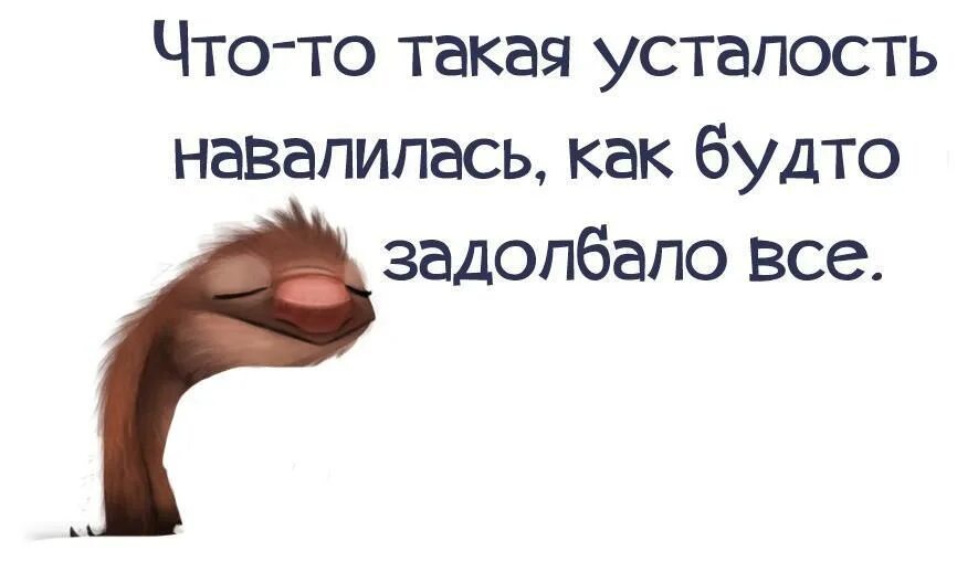 Афоризмы про усталость смешные. Высказывания об усталости прикольные. Высказывания про усталость смешные. Цитаты про усталость смешные.