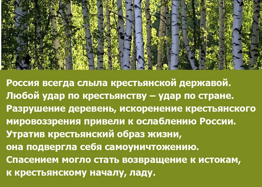 Белов лад цитаты. Цитаты Белова о природе. Цитаты о Белове Василии. Поговорки василия