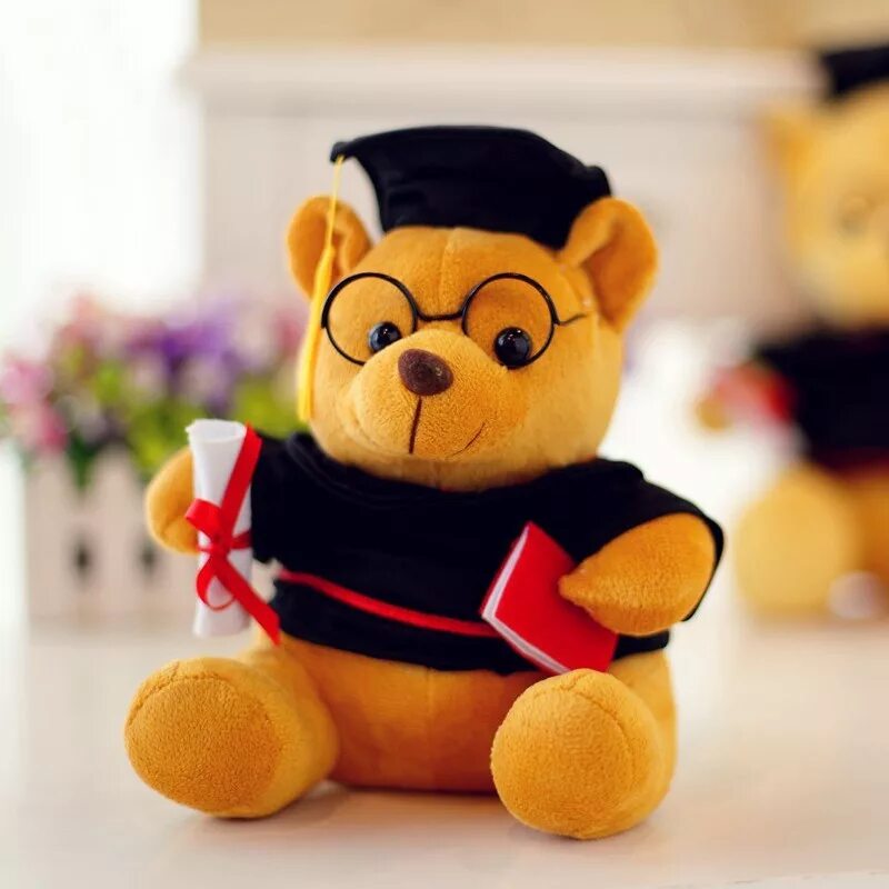 My bear student. Мишка студент. Книга про медвежонка. My bear student. Книга про медвежонка.