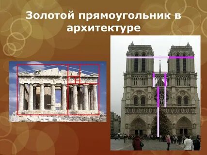 Длина золотого прямоугольника 10 метров