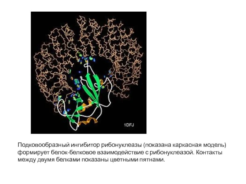 Сложные коллоидные комплексы включающие в себя белков. Надмолекулярные структуры белков биохимия. Надмолекулярная структура белка. Биосенсоры на основе надмолекулярных структур клетки. Надмолекулярные белковые комплексы.