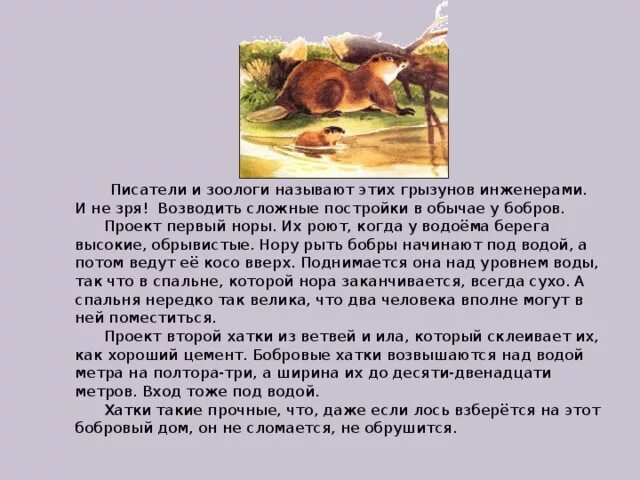 Жил был бобер. Акимушкин жил был бобр. Жил был бобер. Акимушкин жил был бобр. Большая книга сказок.