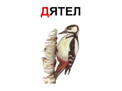 Включи дятел