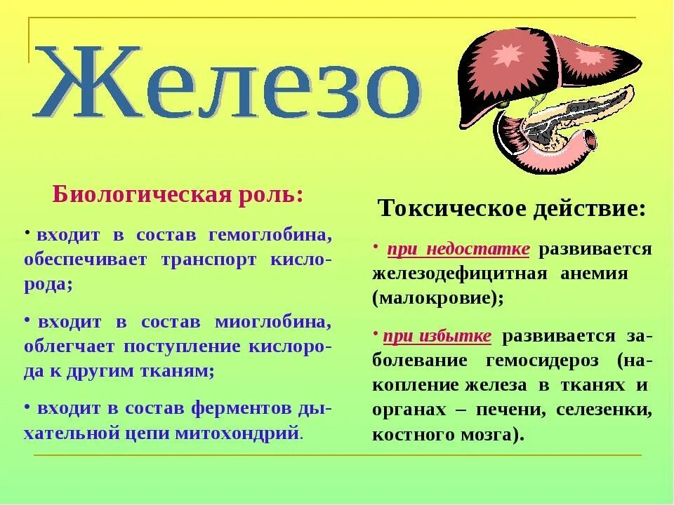 Для чего нужны железы в организме. Биологическая роль железа. Биологическая роль железа в организме человека. Железо биологическое значение.