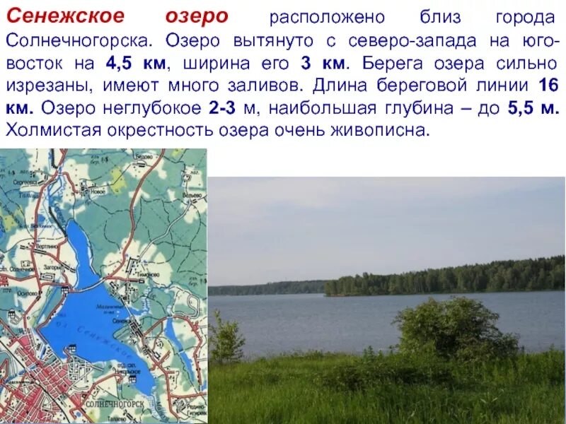 Какое озеро расположено на северо западе. Крупнейшие озера московской области. озеро сенеж информация. крупное озеро в подмосковье. озеро сенеж сообщение.
