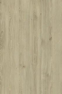 Oak 12