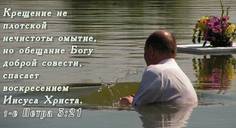 При рождении был обещан богу. Крещение обещание богу доброй совести. крещение это обещание богу доброй совести библия. крещение не плотской нечистоты. не плотской нечистоты омытие но обещание богу.