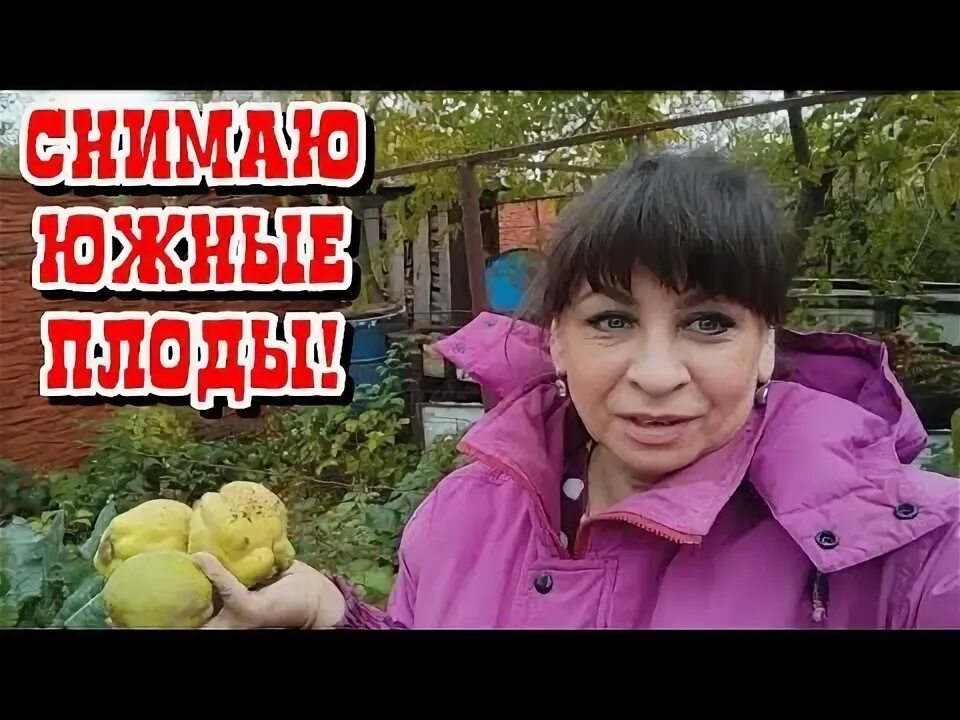 Хутор мамы ларисы ютуб. Хутор мамы ларисы ютуб канал. Хутор мамы ларисы последнее видео ютуб. Хутор мамы ларисы ютуб канал. Хутор мамы ларисы фото.