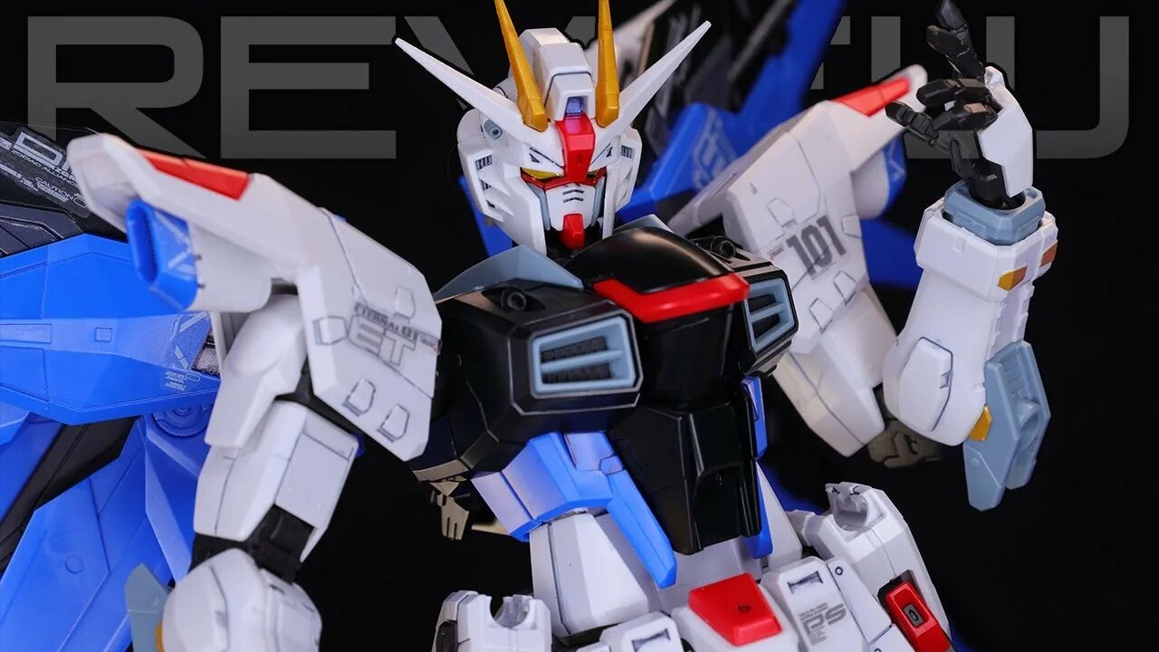 Freedom Gundam China.