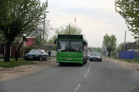 Автобус кировск бобруйск