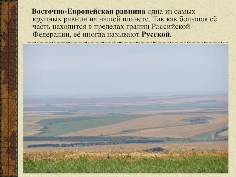 Площадь равнины составляет. Восточно-европейская равнина. равнины восточно европейской равнины. восточно-европейская равнина описание. восточно восточно европейская равнина.