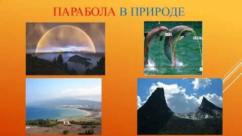 Функции в жизни человека проект