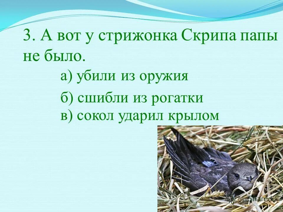 Стрижонок скрип. Астафьев в. "Стрижонок скрип". Рассказ Стрижонок. Поступки стрижонка скрипа. Какие слова помогают понять состояние скрипа