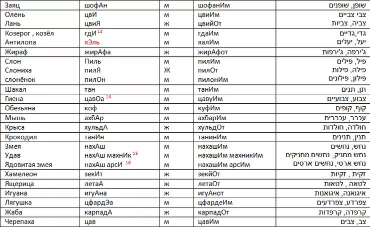 Базовые слова на еврит. Сова на еврейском языке. Слова на иврите. Иврит слова для начинающих. Тута на русском языке