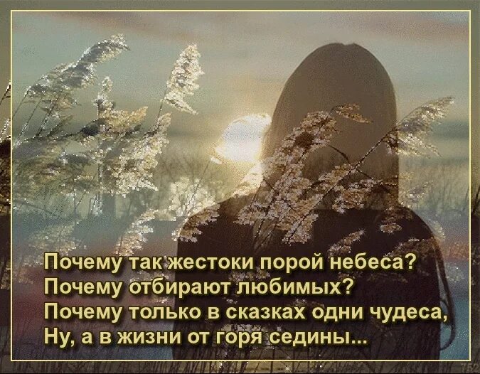 Почему так жесток текст. Стихотворение отпросись у Бога. Мама ты приди родная тихо. А ты приди родная тихо-тихо стих. Ты отпросись у Бога хоть разочек.