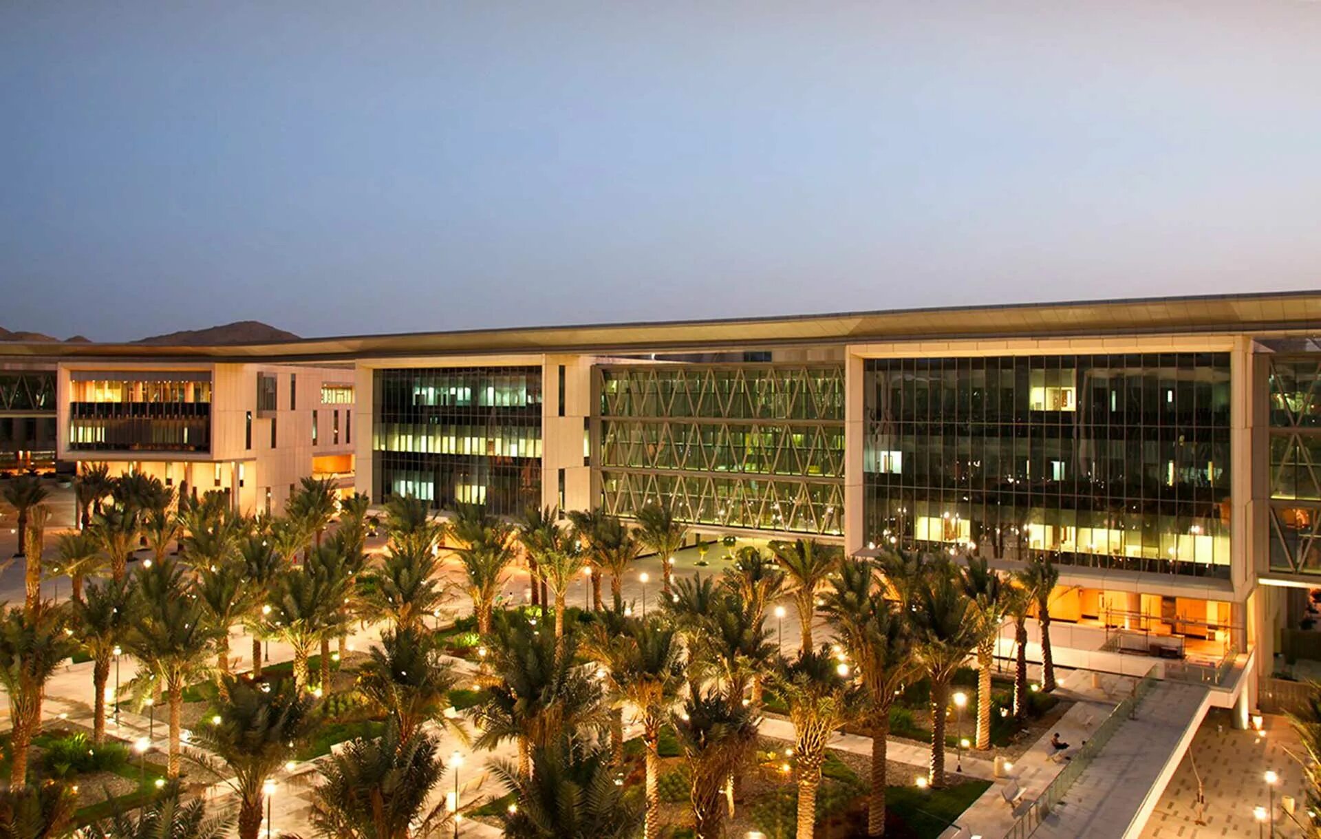 Университет малик. Университет короля сауда или king saud university (ksu). Университет короля сауда в эр рияде. Университет малик абдул азиз город джидда. Университет малик.