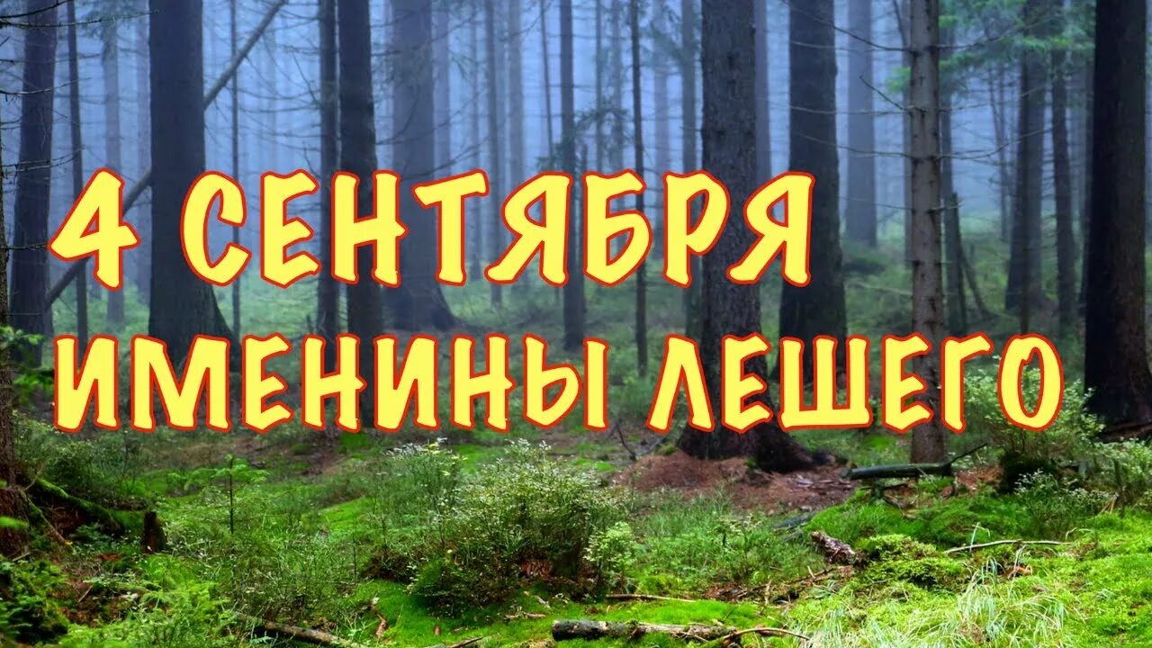 Имя лешего. Именины лешего. Леший на праздник. День лешего.