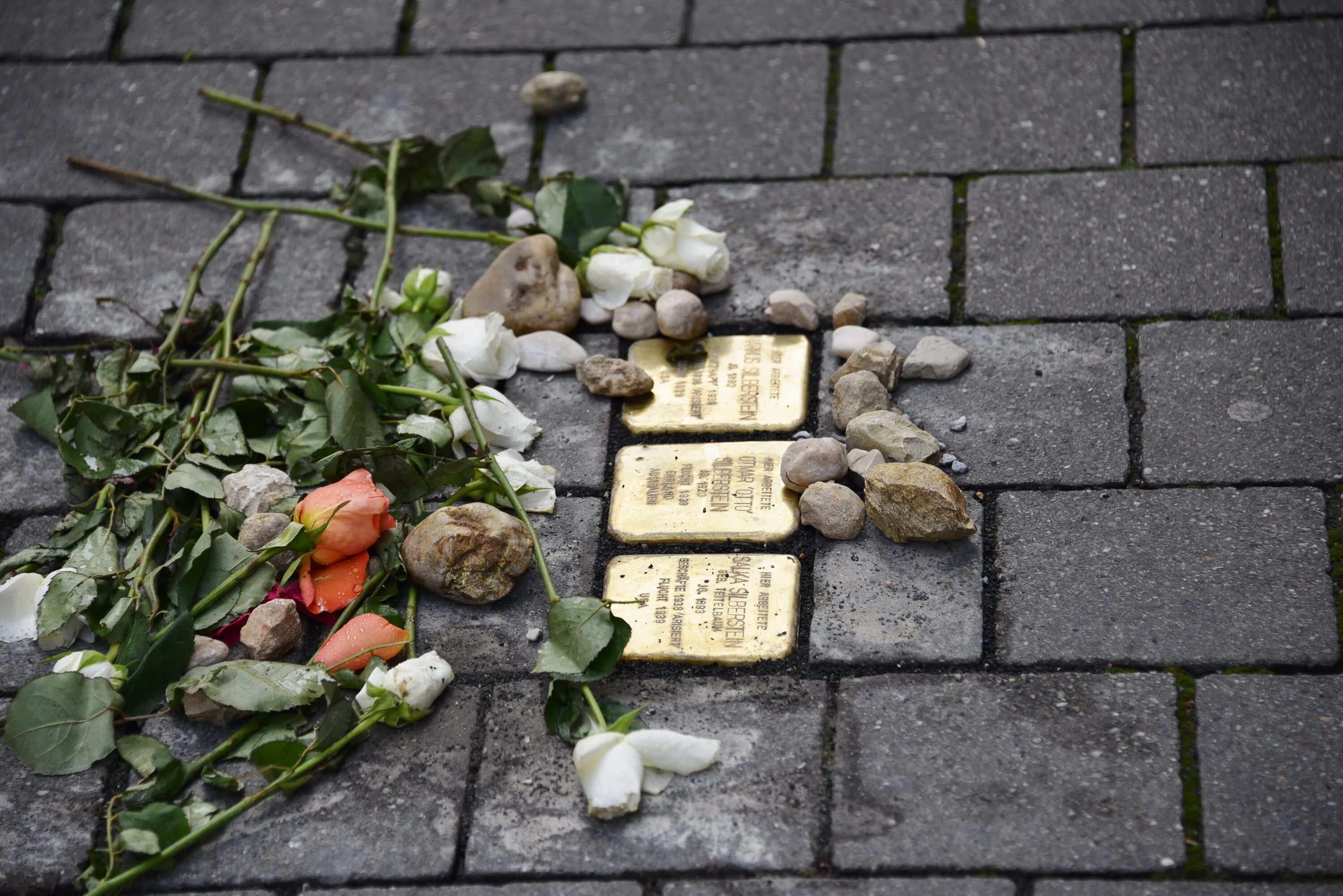 Что значит камень преткновения. Камни преткновения в германии. stolpersteine. камни преткновения в осло.
