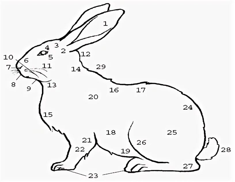 Какой диапазон температуры тела для кролика