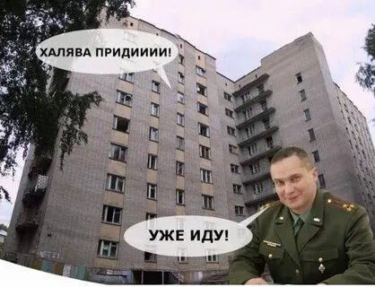 Студенческая халява