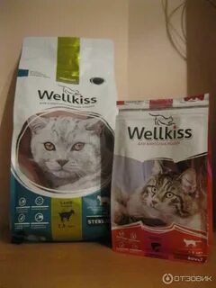 Корм для кошек wellkiss