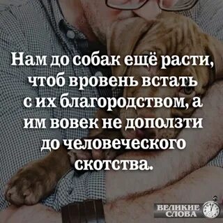 Нам до собак еще расти чтоб вровень
