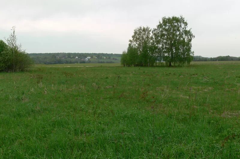 50 соток земли. территория 50 соток. земельный участок 20 соток. участок 50 соток. участок 50 соток.