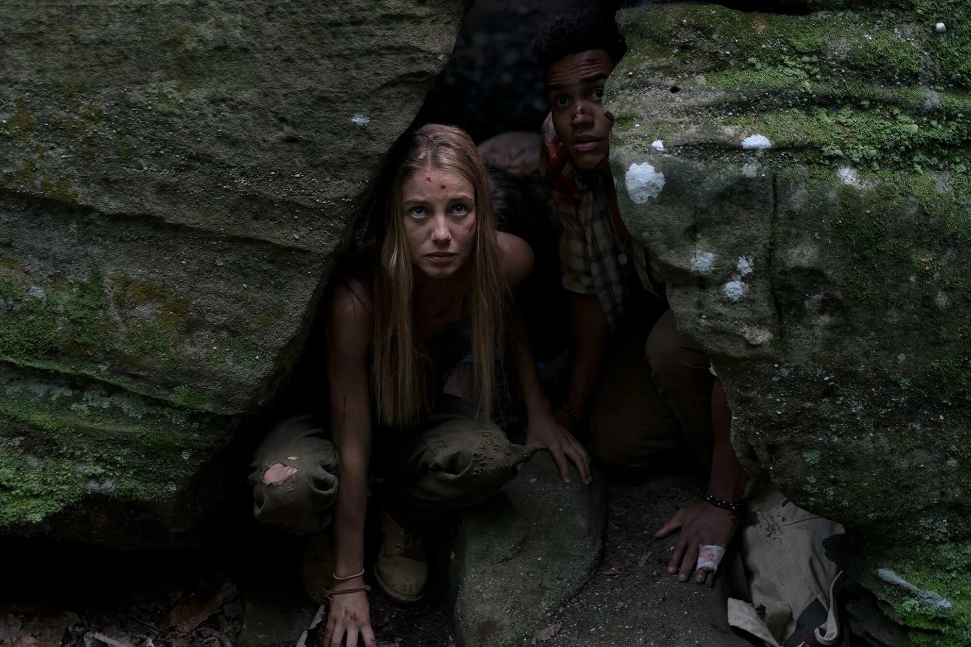 Wrong turn 1