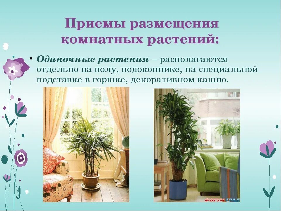 Проект растения в жилом доме