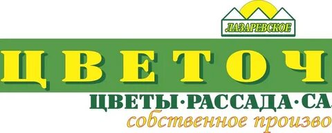 Цветы лазаревское ярославль