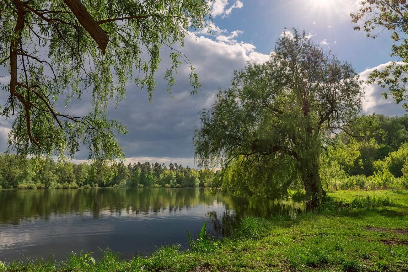 Майский тютчев. Майский пейзаж. Начало мая природа. Весенняя гроза. Природа после грозы.