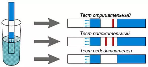 Тест полоска как делать. Как использовать тест на беременность. Как пользоваться тестом на беременность. Как делать тест. Как пользоваться тестом.