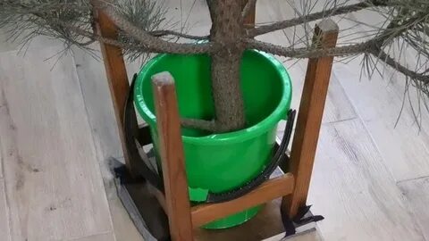 Елка в ведре с песком