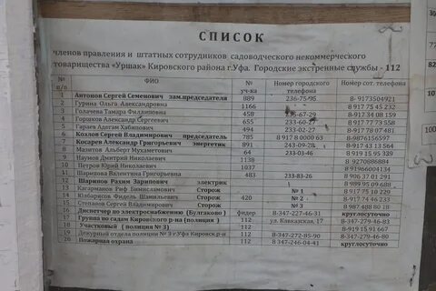 Номер телефона степана
